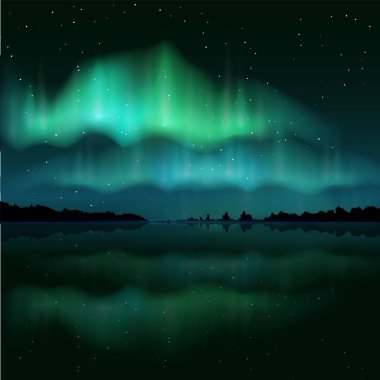 Kuzey ışıkları, Aurora Borealis, vektör gerçekçi illüstrasyon