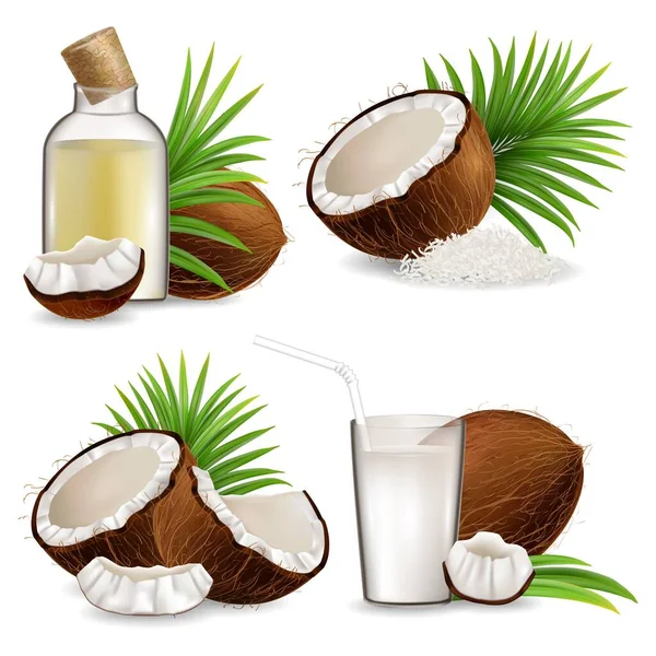 Conjunto de coco natural orgânico, ilustração vetorial isolada —  Vetores de Stock