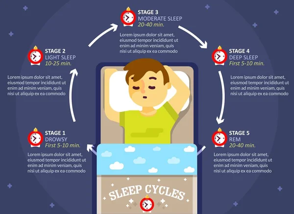 Sleep wake cycle Vector Art Stock Images | Depositphotos