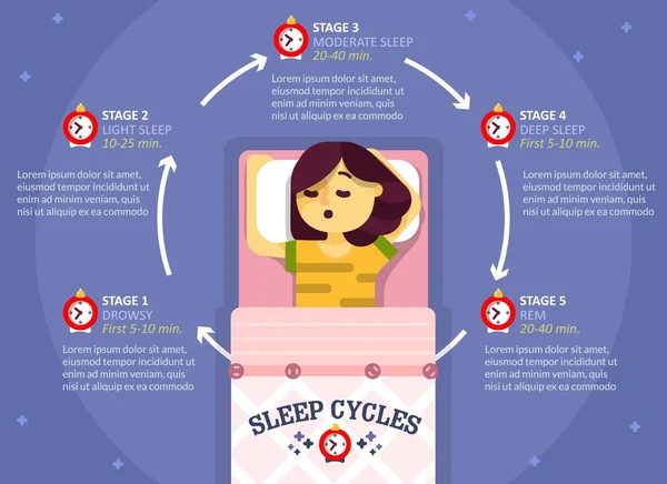 Schlafzyklus-Infografik, Vektor-Bildungsdiagramm, Plakat — Stockvektor