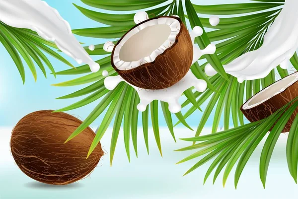 Plakat kokosowy wzór projektu, wektor realistyczna ilustracja — Wektor stockowy