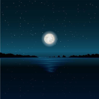 Beautiful moon glade on lake water, vector illustration