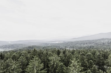 Zirve zirve Grosser Arber