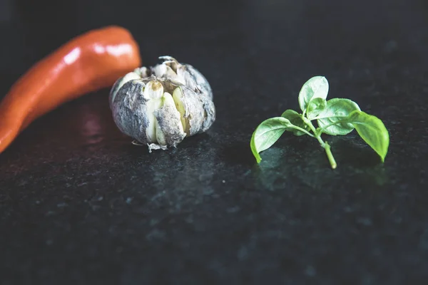 Urban Gardening Gemüseernte Ernte — Stockfoto