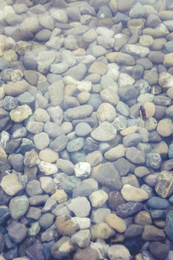 kiraz çiçeği bahar