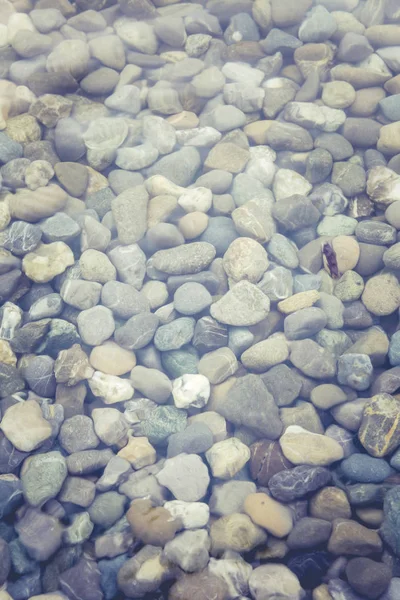 kiraz çiçeği bahar