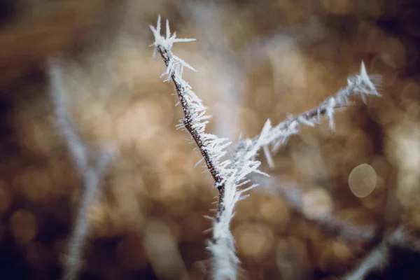 Ледяной кристалл Свирли Боке — стоковое фото