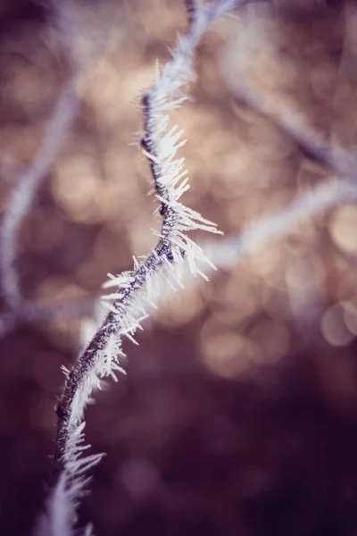 Cristal de gelo swirley bokeh — Fotografia de Stock