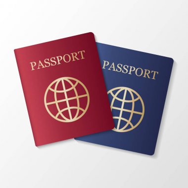 Beyaz arka plan, vektör çizim üzerinde uluslararası pasaportu