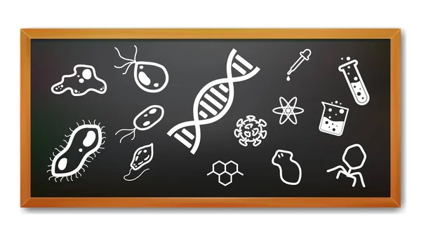 Tableau noir réaliste avec écriture de craie de la science et micro-organisme, illustration vectorielle — Image vectorielle