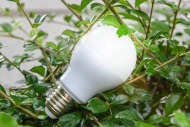 Aydınlatma Led ampul - çevre dostu