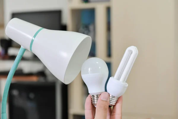Lâmpada LED - Selecionar a lâmpada para usar com a lâmpada, mudando a lâmpada para lâmpada LED para instalar na lâmpada para economizar energia, conceito de como selecionar a lâmpada — Fotografia de Stock