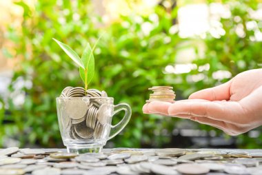 Büyüyen bitki ve güneş ışığı - money3 tasarruf kavramı ile cam para koyarak kadın el