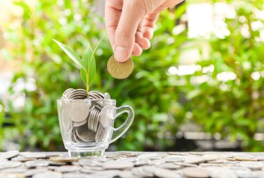 Güneş ışığı - para tasarrufu kavramı ile bitki yetiştirme ile cam para koyarak kadın el