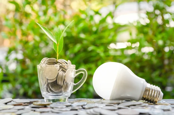 LED bulb with growing plant in the glass and sun light - Concept of saving energy