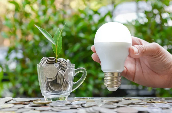 Vrouw Hand Houdt Led Lamp Met Groeiende Plant Het Glas — Stockfoto