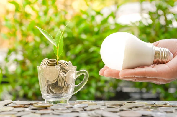 Vrouw Hand Houdt Led Lamp Met Groeiende Plant Het Glas — Stockfoto