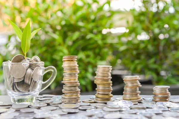 Growing coins stacks and coins in the glass with growing plant for saving money concept