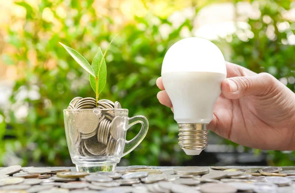 Vrouw hand houdt Led-lamp met groeiende plant in het glas - — Stockfoto