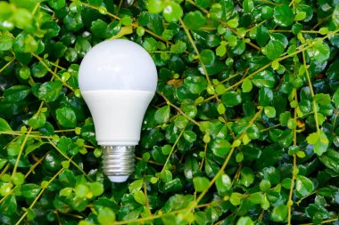 LED ampul ve aydınlatma doğada enerji kavramı kaydetmek için