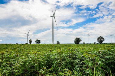 Rüzgar türbinleri manyok plantasyon içinde elektrik üretmek