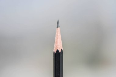 Makro siyah kalem baş