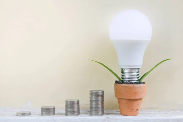 LED bulb grow up from the pot and coins stracks for saving energy concept