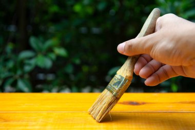 Erkek eli odun dikmek için boya fırçası kullanıyor.