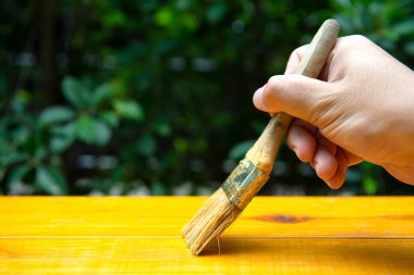 Erkek eli odun dikmek için boya fırçası kullanıyor.