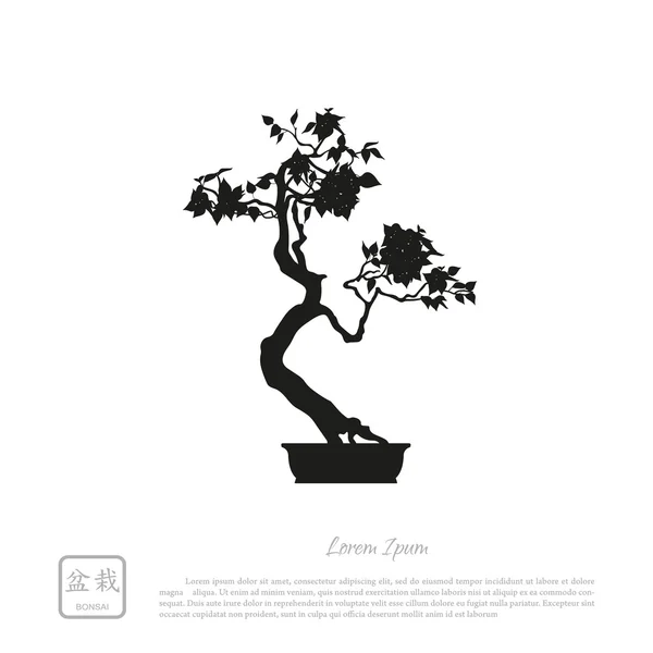 Silueta negra de un bonsái sobre fondo blanco. Detallado ima — Archivo Imágenes Vectoriales