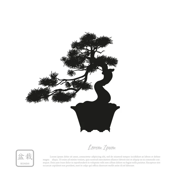 Svart siluett av en bonsai på en vit bakgrund. Detaljerade ima — Stock vektor