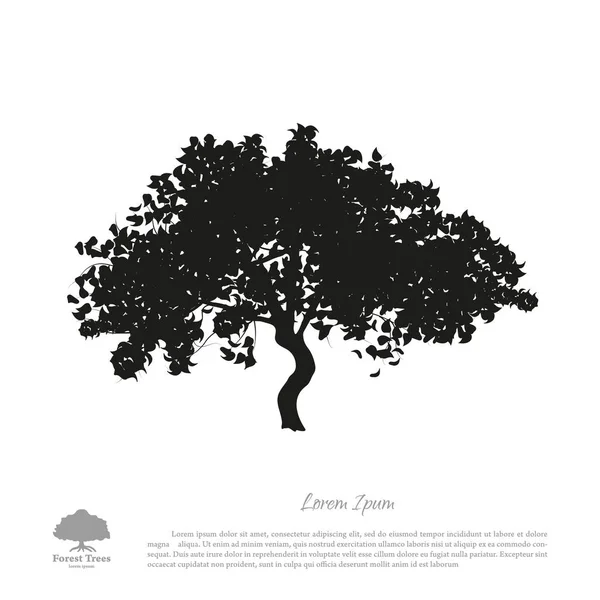 Silhouette di albero nero su sfondo bianco. Immagine di mela — Vettoriale Stock