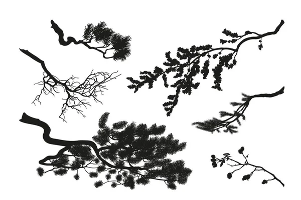 Ветви деревьев. Черный силуэт на белом фоне. D — стоковый вектор