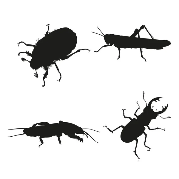 Insectes sur fond blanc. Silhouette de sauterelle, taupe — Image vectorielle