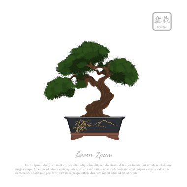 Bonsai ağacı beyaz zemin üzerine tencerede. Japonca metin: 