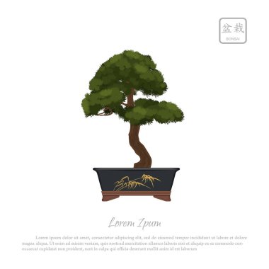 Bonsai ağacı beyaz zemin üzerine tencerede. Japonca metin: 
