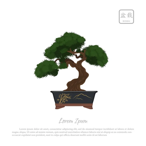 Bonsai tree in pot on white background. Text in japanese: "Bonsa — Stock Vector