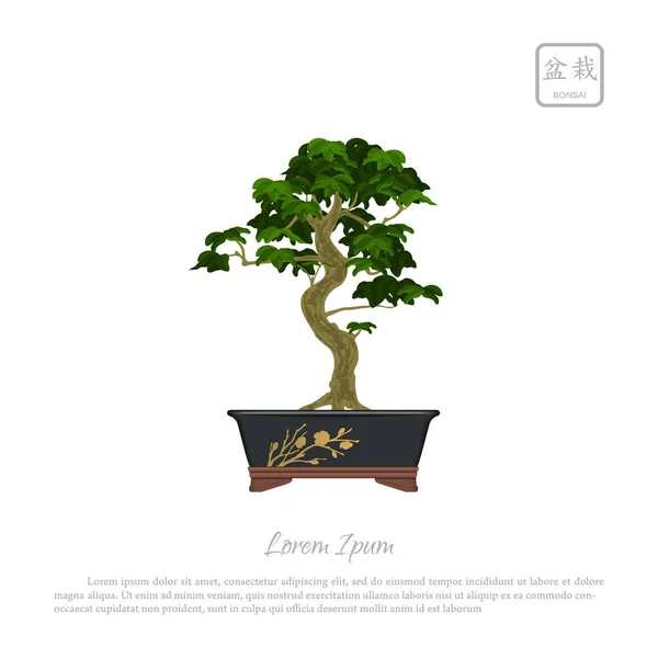 Bonsai árbol en maceta sobre fondo blanco — Archivo Imágenes Vectoriales