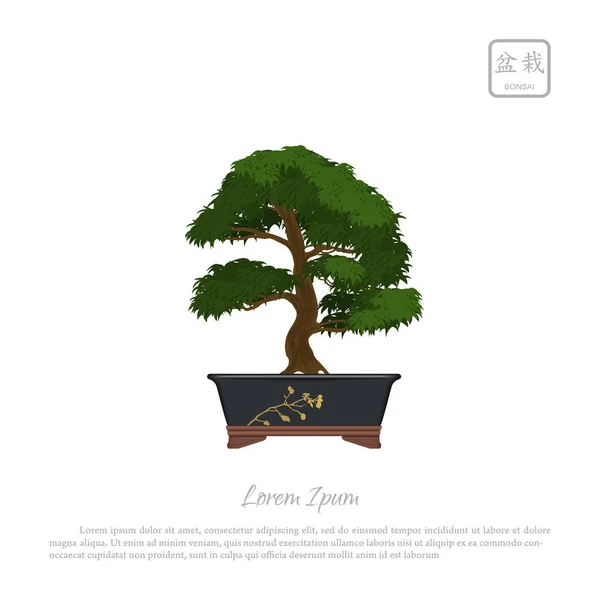 Bonsai árbol en maceta sobre fondo blanco . — Archivo Imágenes Vectoriales
