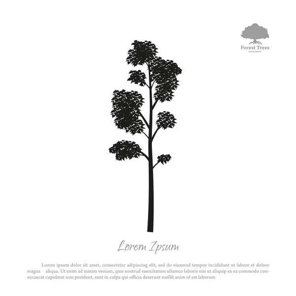 Zwarte silhouet van een boom op een witte achtergrond. Forest bomen — Stockvector