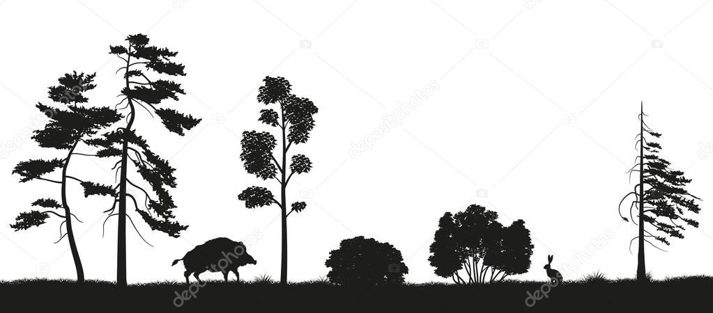 Black silhouette of forest trees on a white background. Panorama of forest with animals. Landscape of wild nature