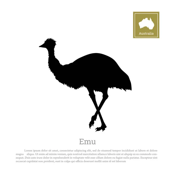 Silueta negra de emú de avestruz sobre fondo blanco. Animal de Australia — Vector de stock