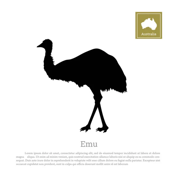 Silhouette noire d'autruche emu sur fond blanc. Animal de l'Australie — Image vectorielle