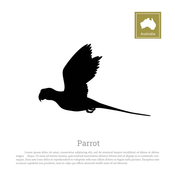 Czarne sylwetki papuga na białym tle. Zwierzęta Australii — Wektor stockowy