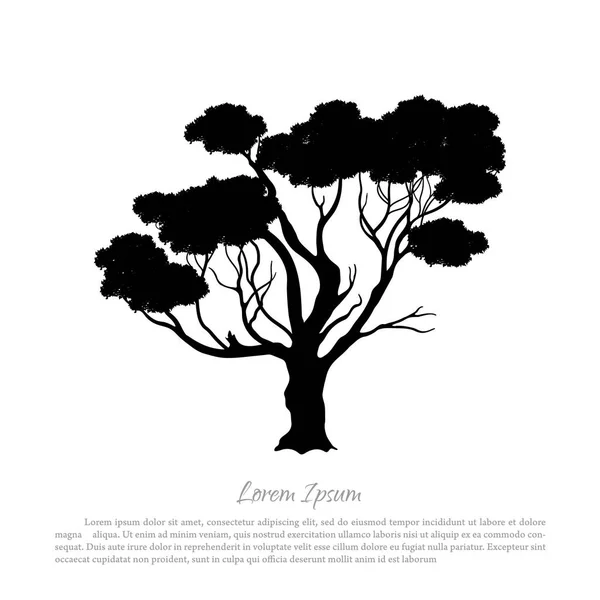 一棵树在白色背景上的黑色剪影。澳大利亚的性质。沙漠风景 — 图库矢量图片