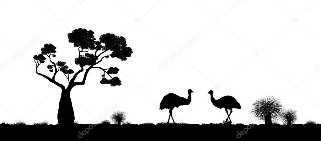 Australian landscape. Black silhouette of emu ostrich on white background. The nature of Australia