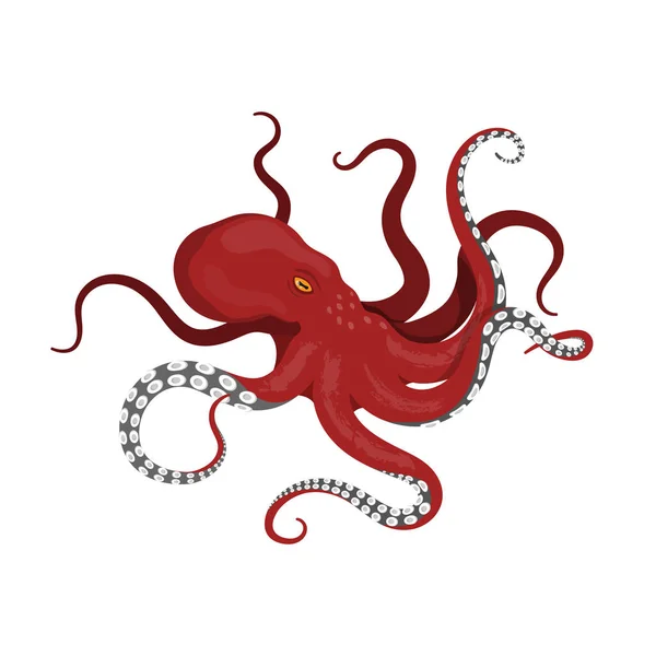 ปลาหมึกแดงยักษ์บนพื้นหลังสีขาว ปิศาจทะเล Kraken ในสไตล์การ์ตูน — ภาพเวกเตอร์สต็อก