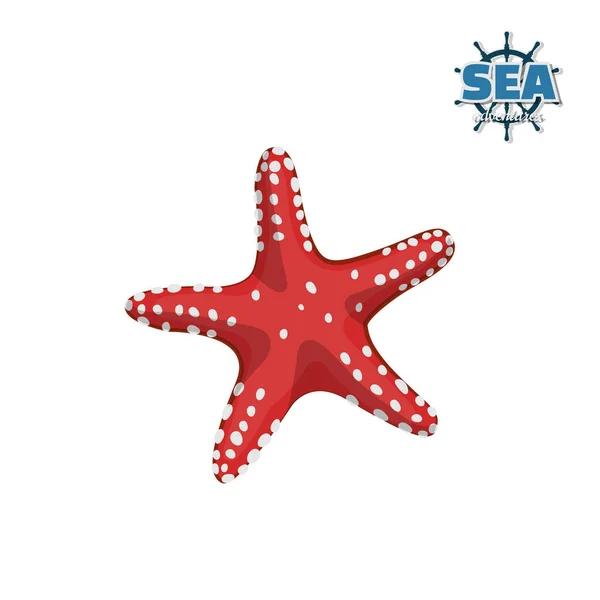 Estrela-do-mar vermelha num fundo branco. Desenho isolado — Vetor de Stock