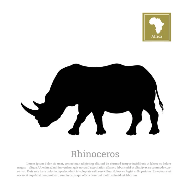 Silueta negra de un rinoceronte sobre un fondo blanco. Grandes rinocerontes. Animales africanos — Vector de stock