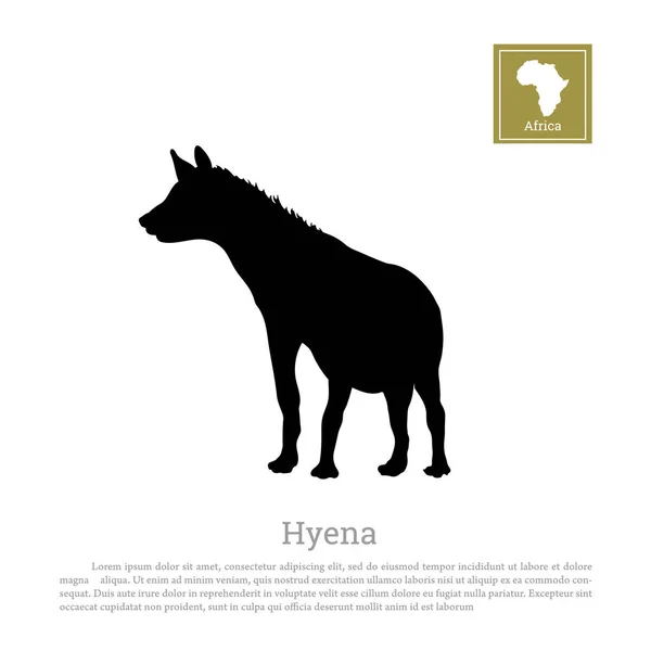 Detalle de silueta de hiena negra sobre fondo blanco. Animales africanos — Vector de stock